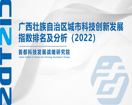 欧美激视频大鸡a【成果发布】广西壮族自治区城市科技创新发展指数排名及分析（2022）